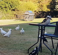 Eildon Parkview Motor Inn - New Castle Holiday