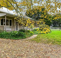 Elm Cottage - New Castle Holiday