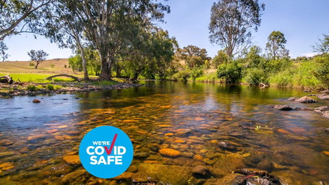 Elm Cottage - New Castle Holiday 1