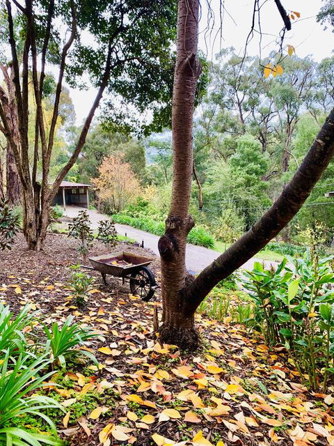 Emerald Star Cottages - New Castle Holiday 3