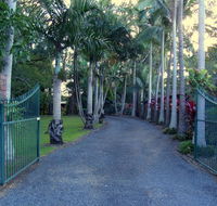 Emerald Tropical Palms B  B - New Castle Holiday