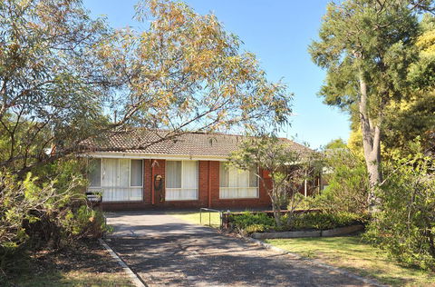 Endless Summer - New Castle Holiday 0