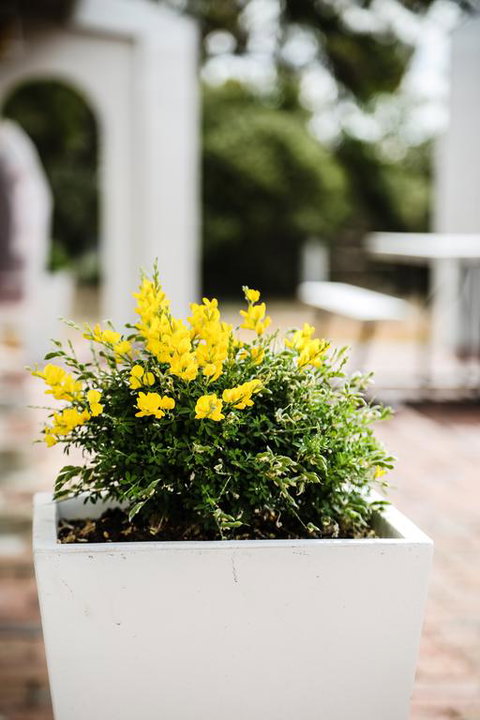 Esperance Coastal Retreat - New Castle Holiday 3