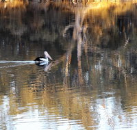 Euston Club Motel - New Castle Holiday