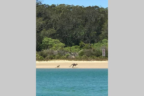 FAIRVIEW COTTAGE 25B - Waterfront Accommodation - New Castle Holiday 0