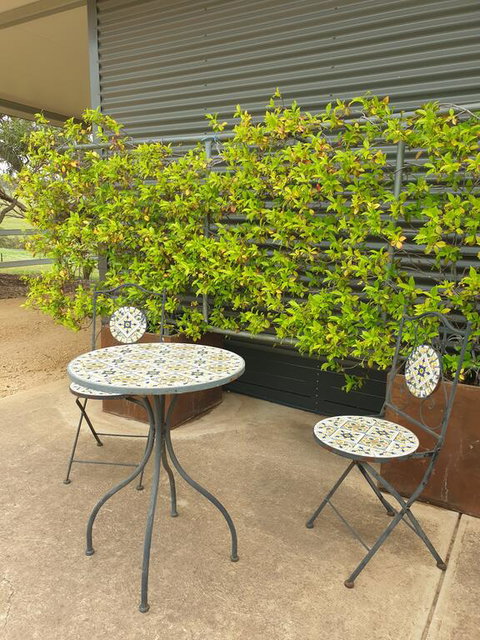 Farm Stay Studio - New Castle Holiday 2