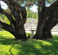 Farm Stay Studio - New Castle Holiday