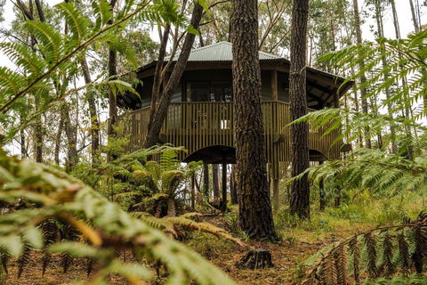 Federation Gardens & Possums Hideaway - New Castle Holiday 2