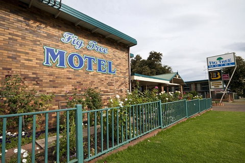 Fig Tree Motel - New Castle Holiday 2