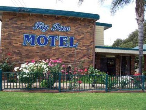 Fig Tree Motel - New Castle Holiday 1