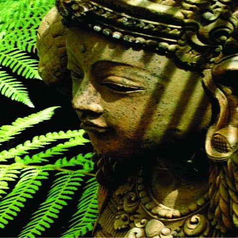 Forget Me Not Cottages - New Castle Holiday 3