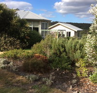 Forrest Willy Wagtail Studio - New Castle Holiday