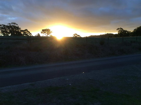 Forrest Willy Wagtail Studio - New Castle Holiday 1