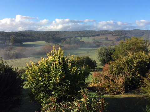 Forrest Willy Wagtail Studio - New Castle Holiday 3