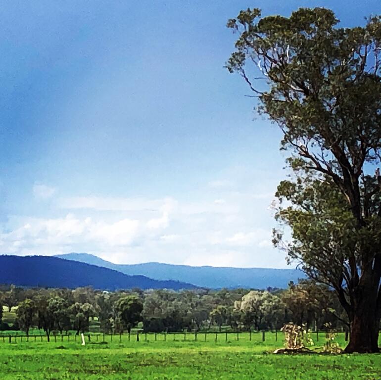 Timbumburi NSW New Castle Holiday