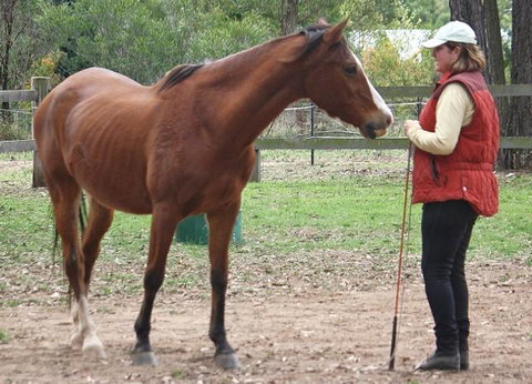 Fullcircle Farm - New Castle Holiday 2