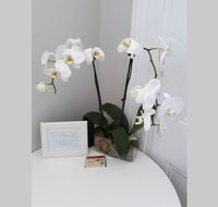 Gawler Heritage Accommodation - New Castle Holiday