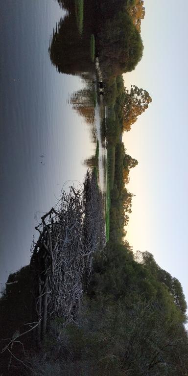 Gosnells Homestay - New Castle Holiday 1