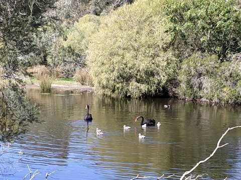 Gosnells Homestay - New Castle Holiday 3