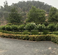 Guinevere - New Castle Holiday