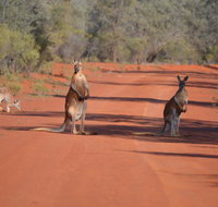 Gundabooka National Park Cottages - New Castle Holiday