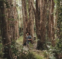 Habitat Noosa - New Castle Holiday
