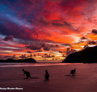 Heather's Mica Cottage - New Castle Holiday