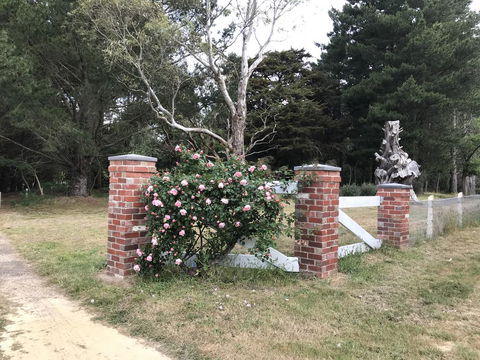 Helen's Luxury Hut - New Castle Holiday 2