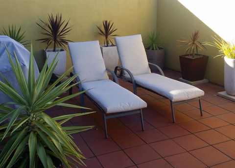 High On Penguin - New Castle Holiday 1