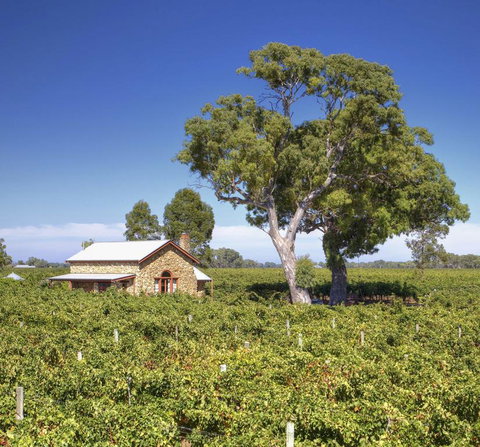 Highbank Country Accommodation - New Castle Holiday 3