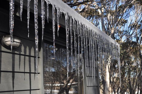 Highlander-DPA - New Castle Holiday 0