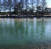 Jaspers Apartments - New Castle Holiday