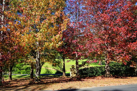 Kangaroo Valley Timber Cabin - New Castle Holiday 3