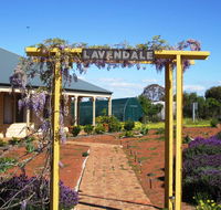 Lavendale Farmstay and Cottages York - New Castle Holiday