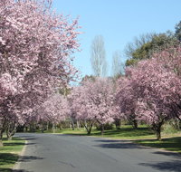 Leo's Rest Bathurst NSW - New Castle Holiday