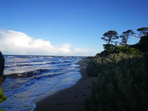 Lily Family - New Castle Holiday 2