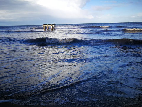 Lily Family - New Castle Holiday 3