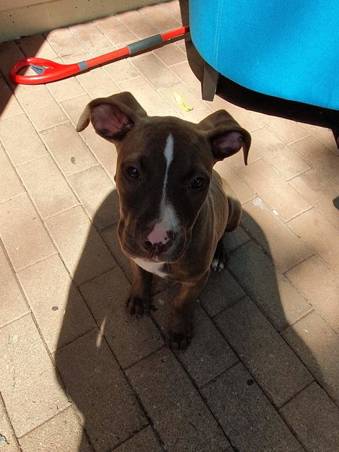 Lumleyhouse - New Castle Holiday 3