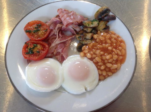 Lush Pastures - New Castle Holiday 1