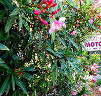 Mercury motor inn - New Castle Holiday