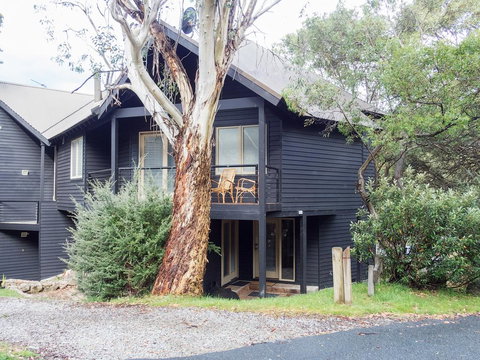 Milkwood - New Castle Holiday 0