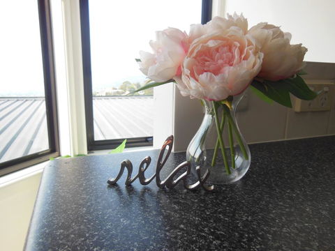 Modern Hobart Apartment With Stunning Views - New Castle Holiday 0