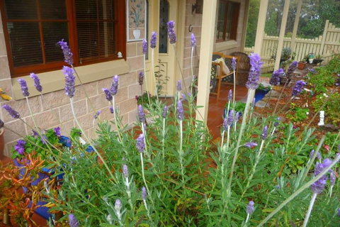 Mountain Escape - New Castle Holiday 2