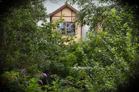 Mountain Lodge - New Castle Holiday 1