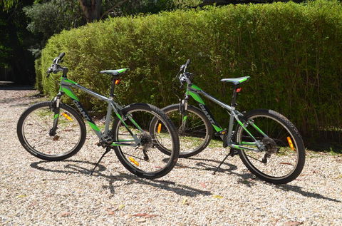 Mountain View Holiday Retreat - New Castle Holiday 3