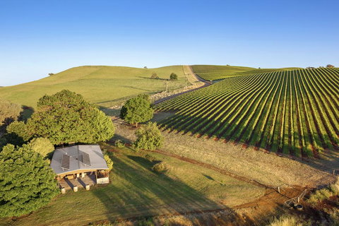 Mt Bellevue - New Castle Holiday 0