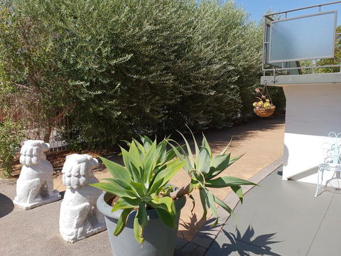 Mt.Lawley Superb 2 BR Apartment Ideally Located 5 - New Castle Holiday 0