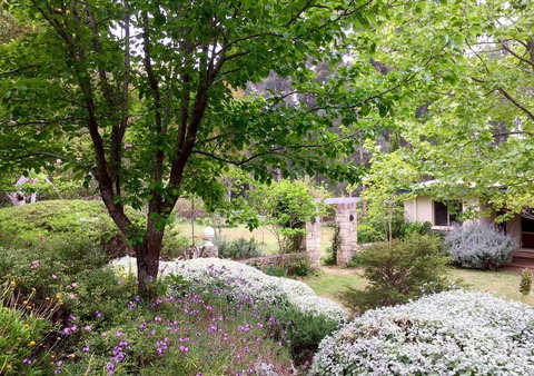 Naturescape - New Castle Holiday 0