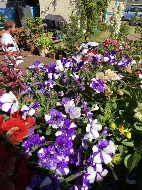 1849 Backpackers Albany - New Castle Holiday 15