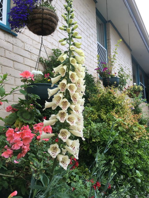 1849 Backpackers Albany - New Castle Holiday 32